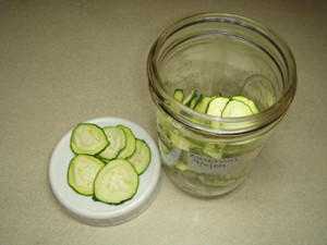 Dried Zucchini