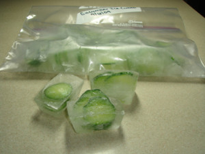 Freezing Cucumbers in Freezer Bag