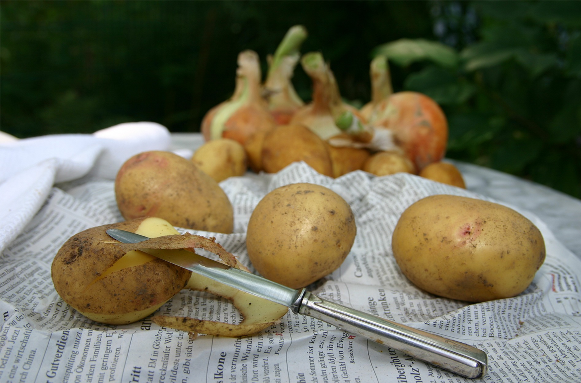 How to make mulch and compost from vegetable peels