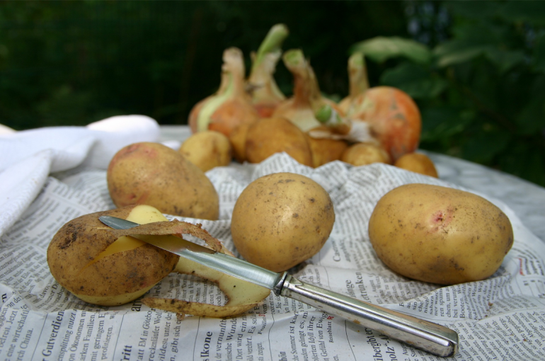 How to make mulch and compost from vegetable peels