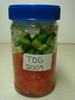 Freezing Tomatoes, Onion and Green Pepper to Make TOG