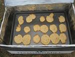 Outdoor Oatmeal Cookies