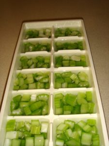 Celery Water Ice Cube Tray