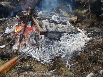 Pie Iron In Use