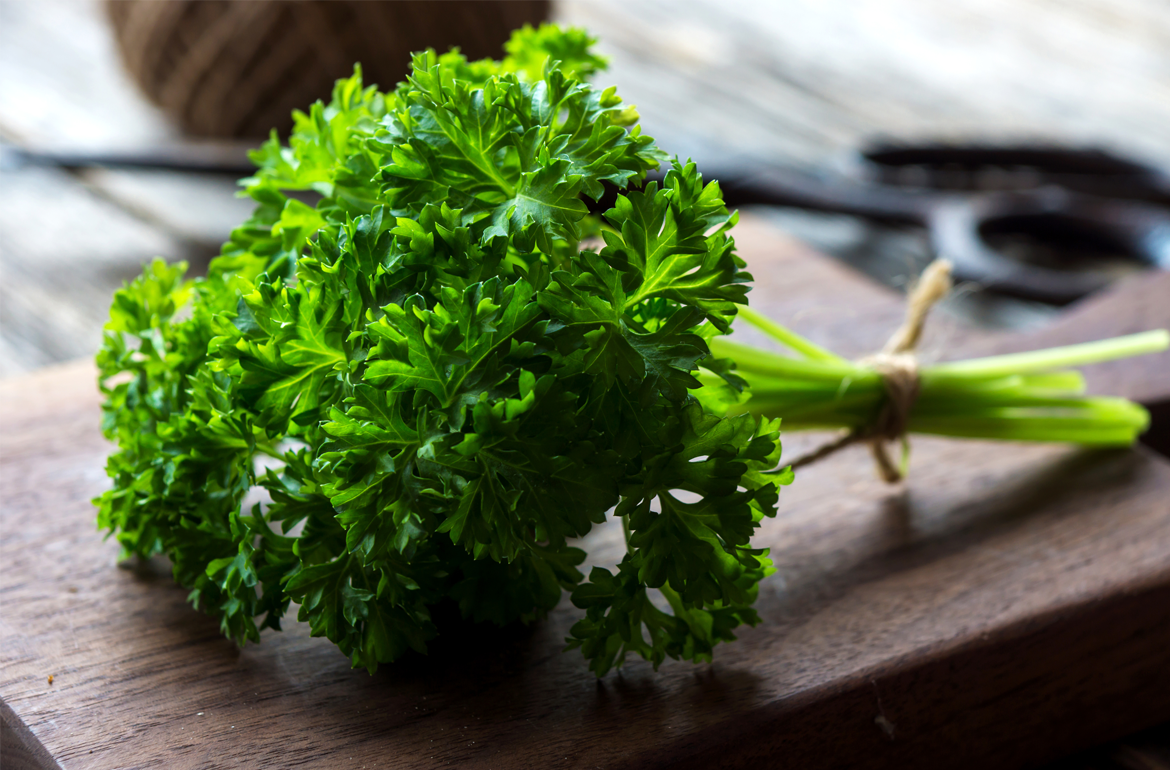 keeping parsley fresh